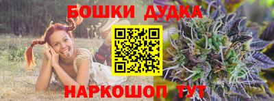 спиды Дубна