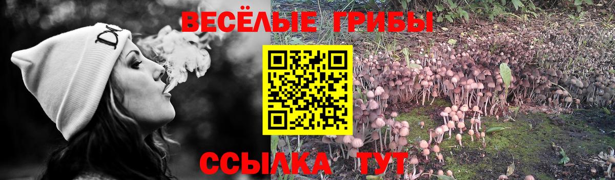 Псилоцибиновые грибы MAGIC MUSHROOMS Барабинск