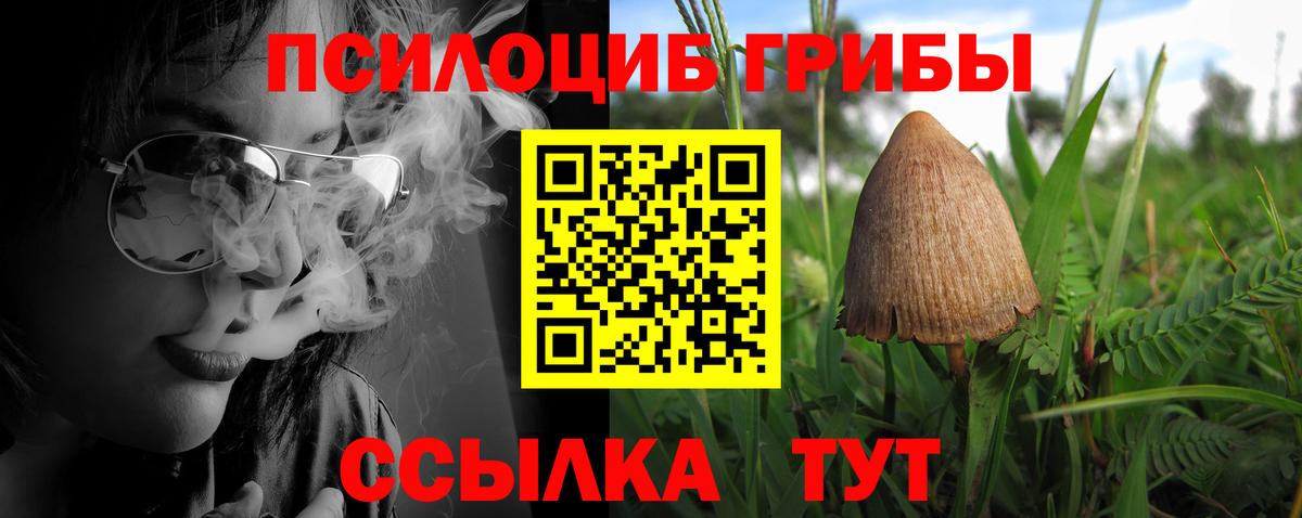 Галлюциногенные грибы Magic Shrooms  Вход с VPN  Барабинск  Псилоцибиновые грибы Magic Shrooms 